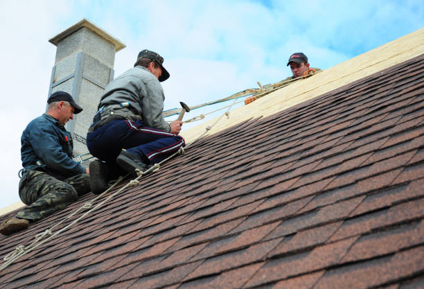 Best Roof Gutter Cleaning  in Newark, CA